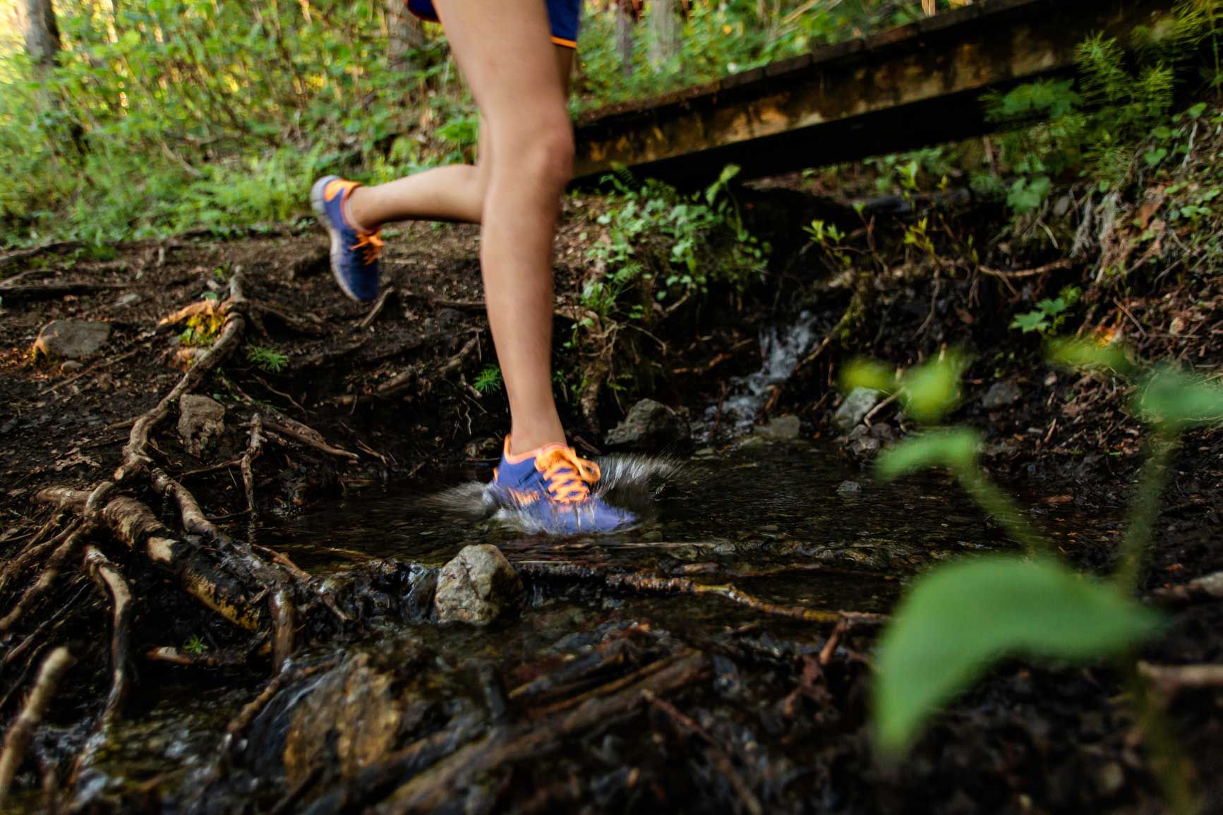 Balance and Stability