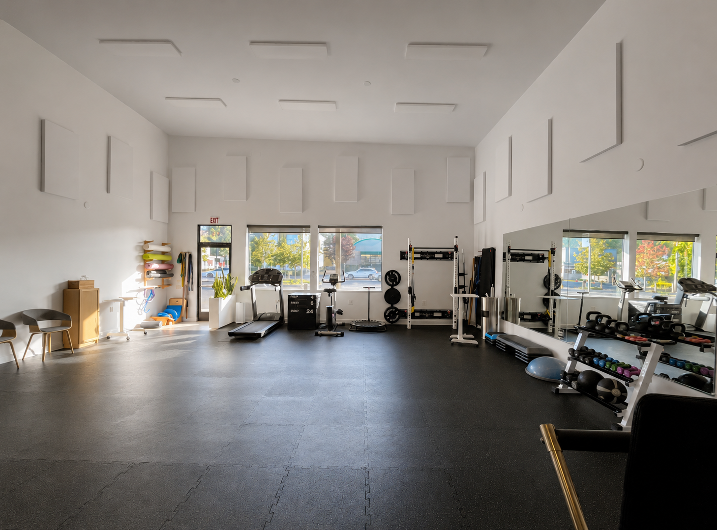 Active Marin Physical Therapy Gym